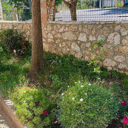 Guesthouse Shehu Εξαμίλιο Εξωτερικό φωτογραφία